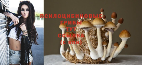 ALPHA-PVP Остров